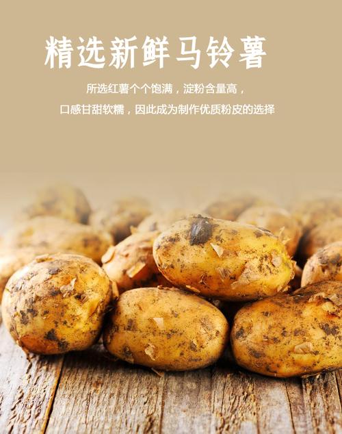 六六顺马铃薯宽粉 一粉两吃，火锅凉拌皆美味的家庭必备食材
